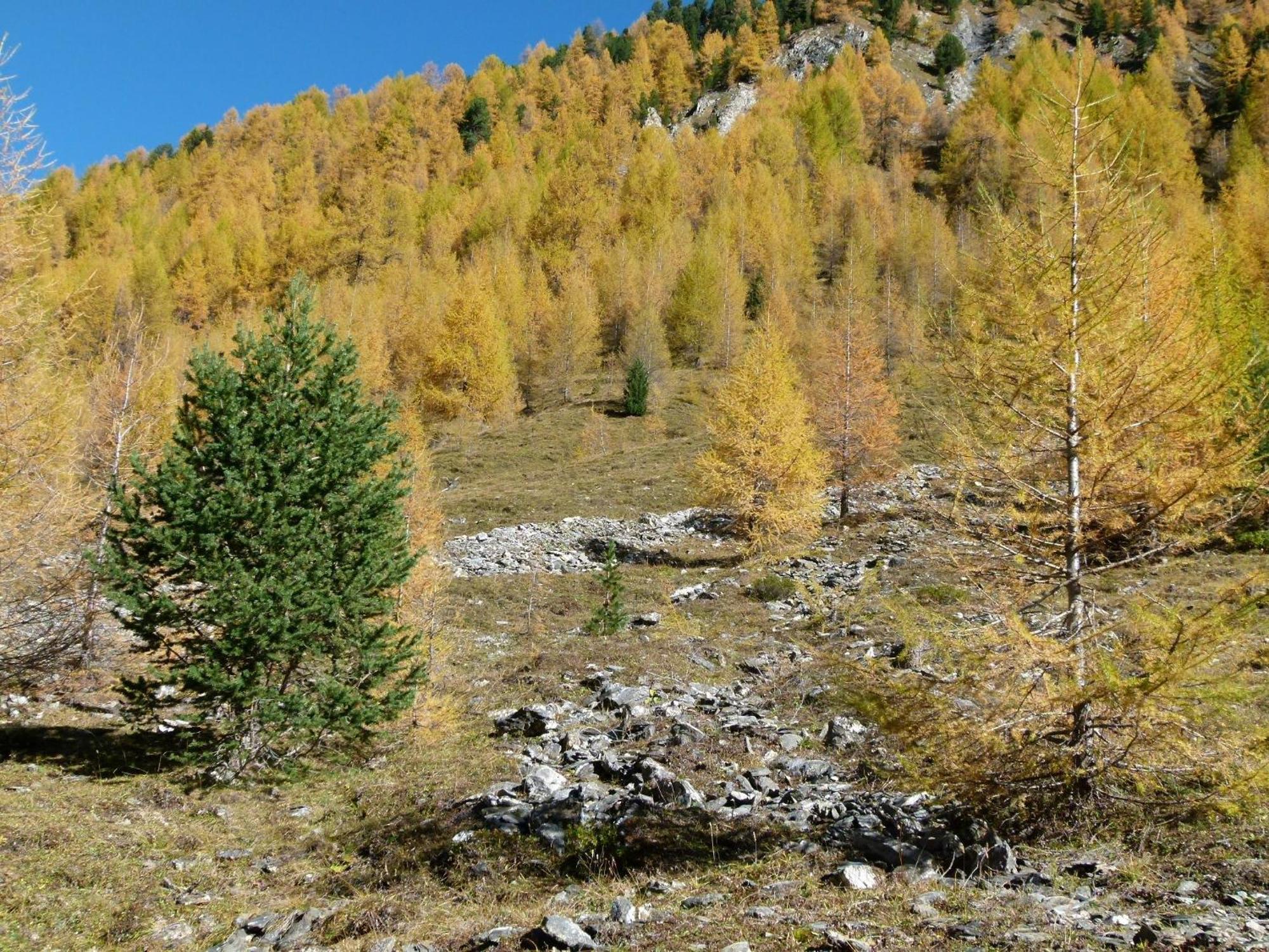 Apart-Garni Motnaida Samnaun Kültér fotó